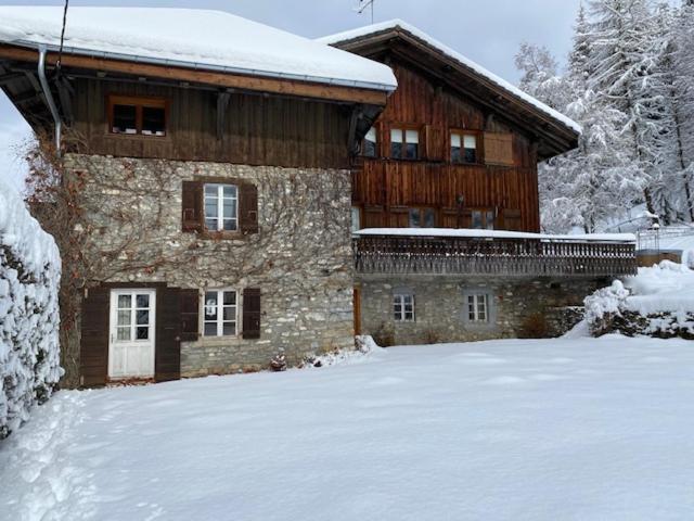 The Nest Vila Les Gets Exterior foto